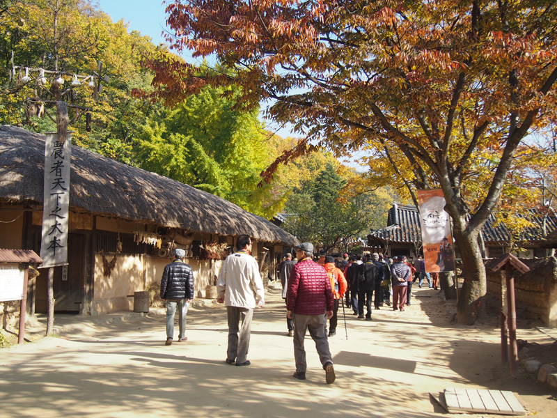 aPB050029.jpg